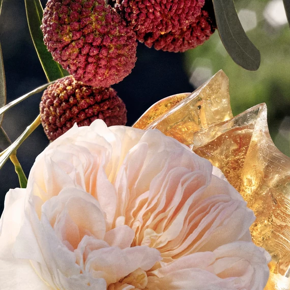 Chloé Signature Eau de Parfum 30ML