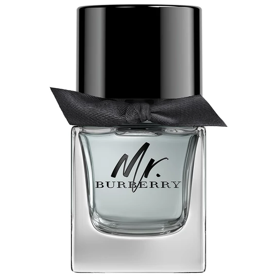 Burberry Mr. Burberry EdT 50ML