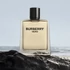 Burberry Burberry Hero Eau de Parfum 100ML