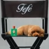 Dolce & Gabbana Fefé fragrance mist for dogs 100ML