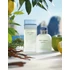 Dolce & Gabbana Light Blue Pour Homme Eau de Toilette 75ML
