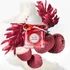 Hermés Tutti Twilly d'Hermès  50ML